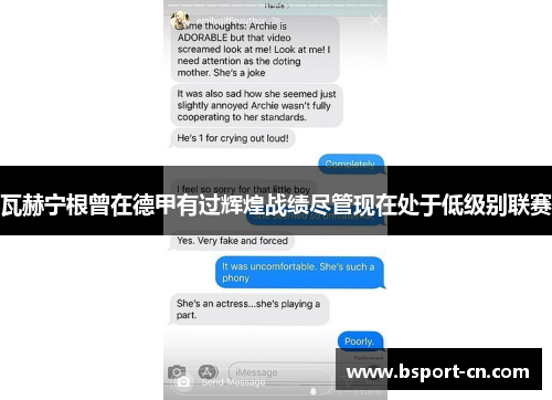 瓦赫宁根曾在德甲有过辉煌战绩尽管现在处于低级别联赛