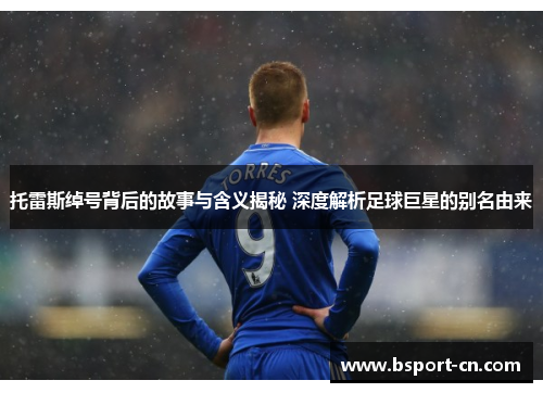 托雷斯绰号背后的故事与含义揭秘 深度解析足球巨星的别名由来