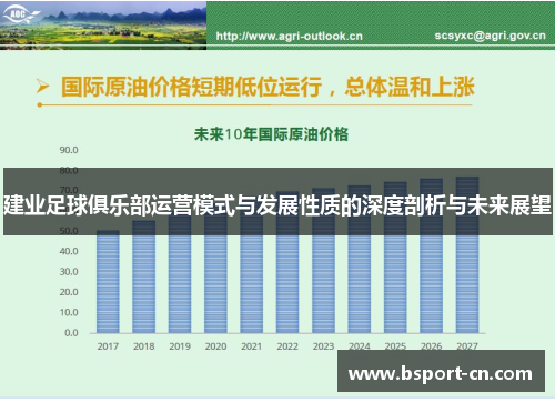 建业足球俱乐部运营模式与发展性质的深度剖析与未来展望