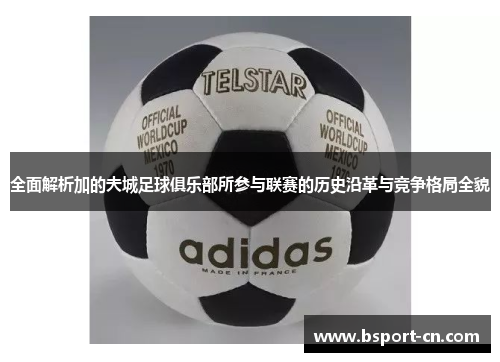 全面解析加的夫城足球俱乐部所参与联赛的历史沿革与竞争格局全貌