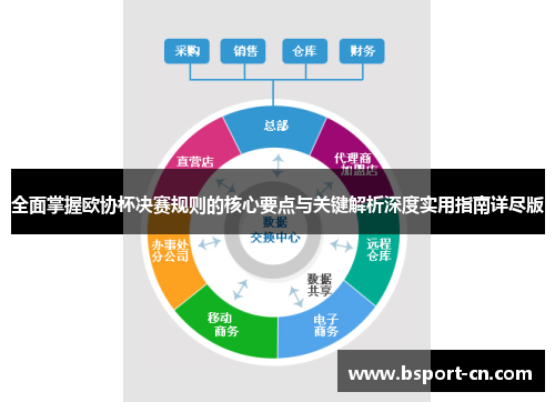 全面掌握欧协杯决赛规则的核心要点与关键解析深度实用指南详尽版